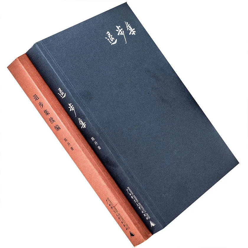退步集+退步集续编 陈丹青作品 全2册封面