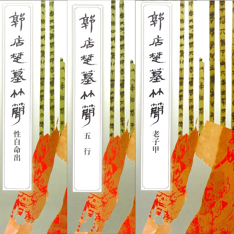 郭店楚墓竹简 全15册 2003 荆门市博物馆编著封面