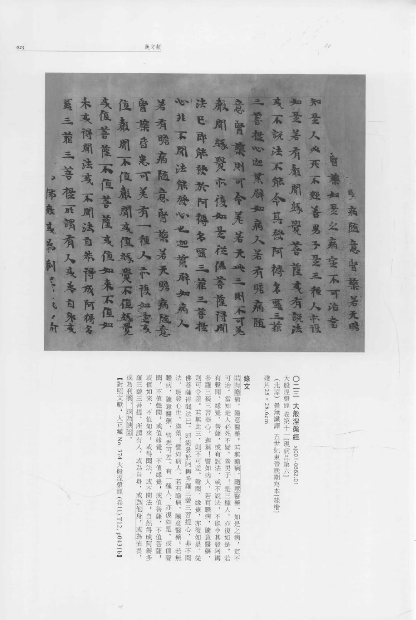 中国文化遗产研究院藏西域文献遗珍.jpg