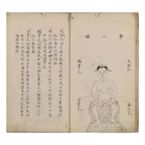 神农黄帝针灸图经2.jpg
