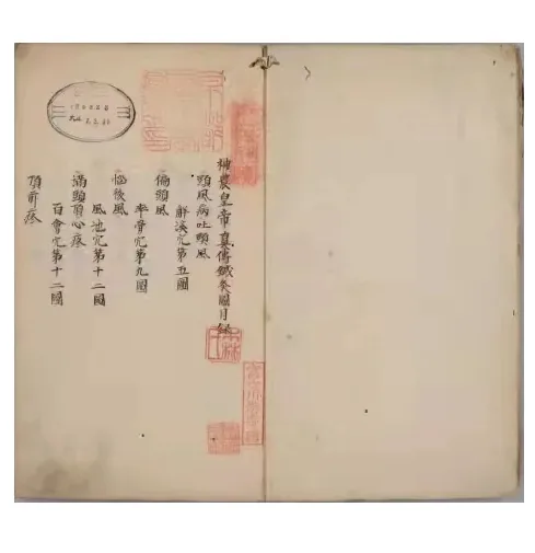神农黄帝针灸图经3.jpg