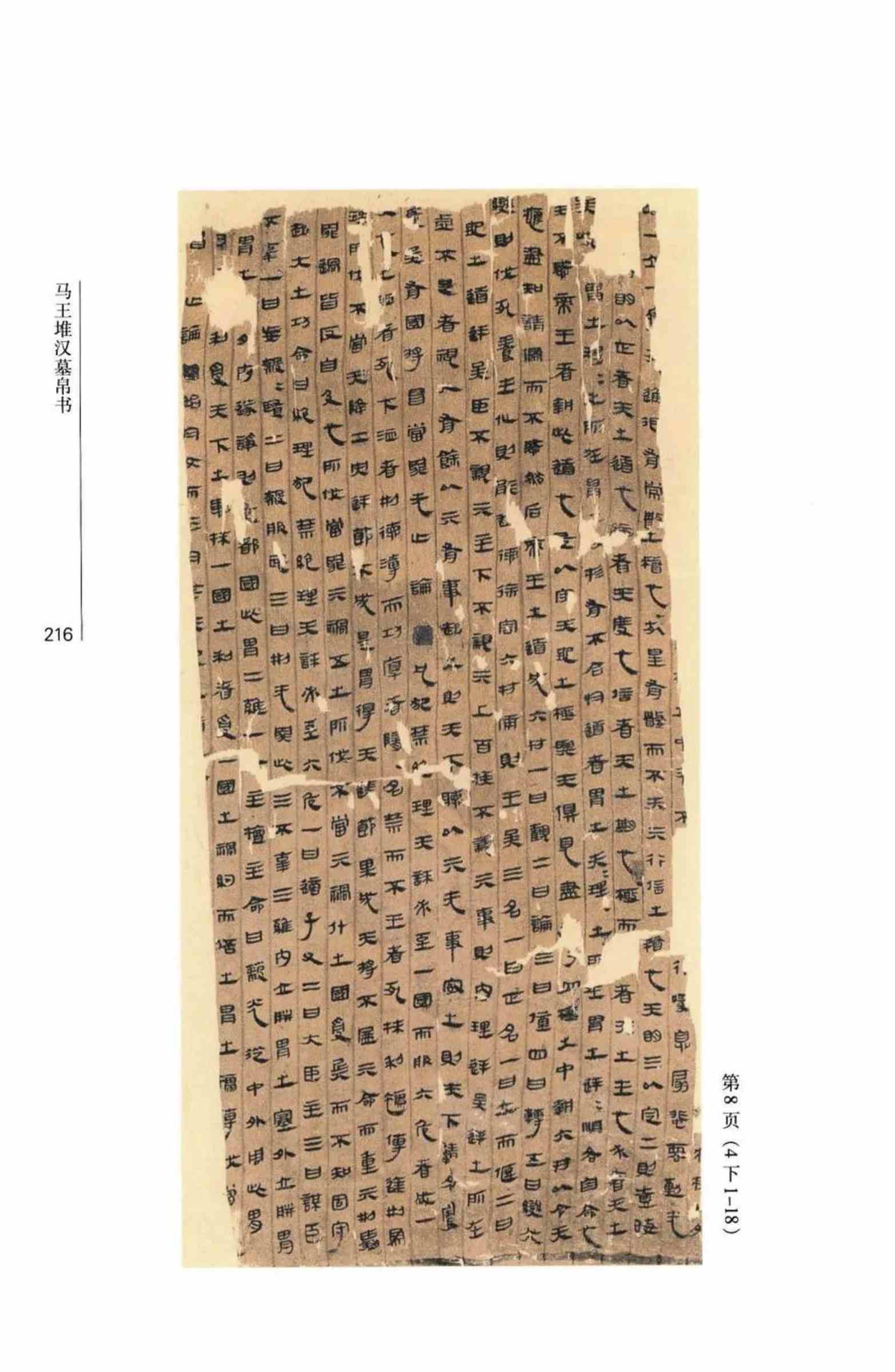 33.jpg