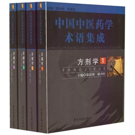 中国中医药学术语集成全10册 PDF电子版 中州古籍出版社2006封面