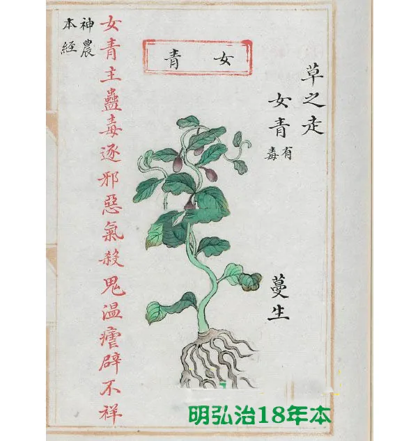 《本草品汇精要》42卷 有缺卷 万圣书城 明弘治18年刻本封面