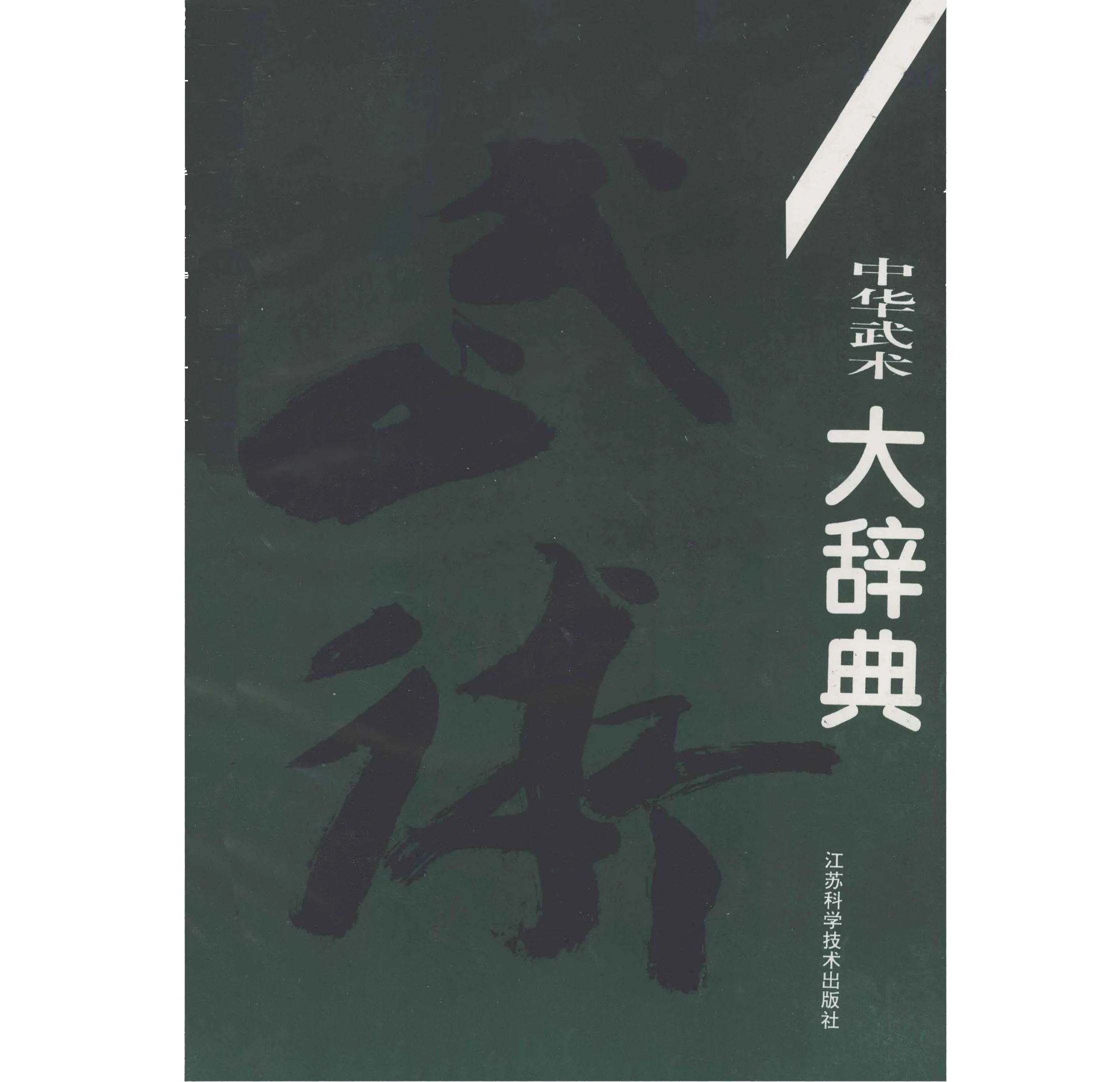 《中华武术大辞典》全1册 PDF文件 江苏科学技术出版社1994封面