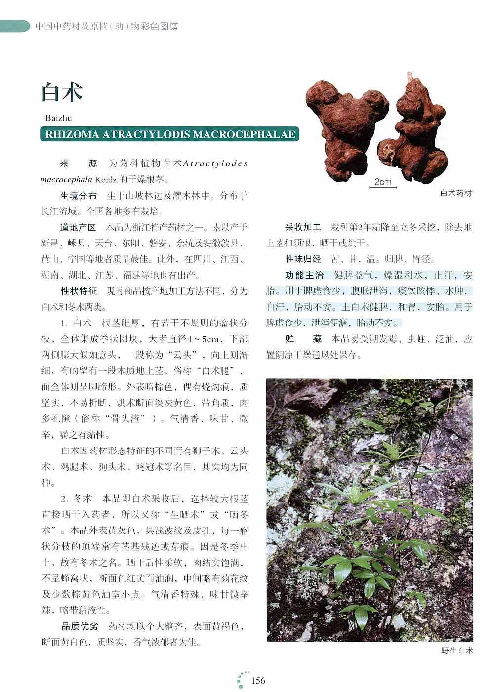 中国中药材及原植2.jpg