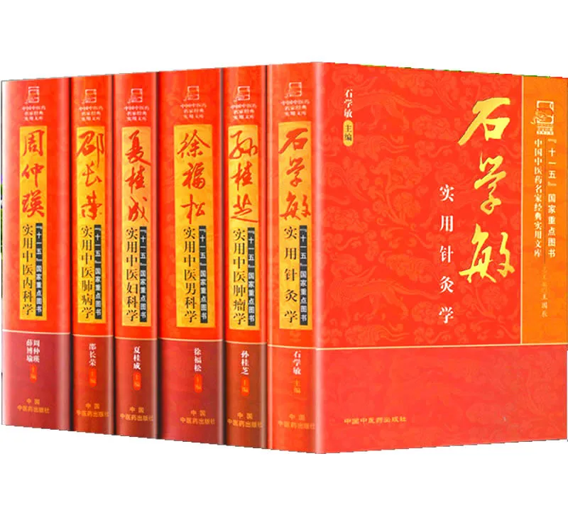 中国中医药名家经典实用文库 全10册 2012高清 刘弼臣周仲瑛石学敏夏桂成封面