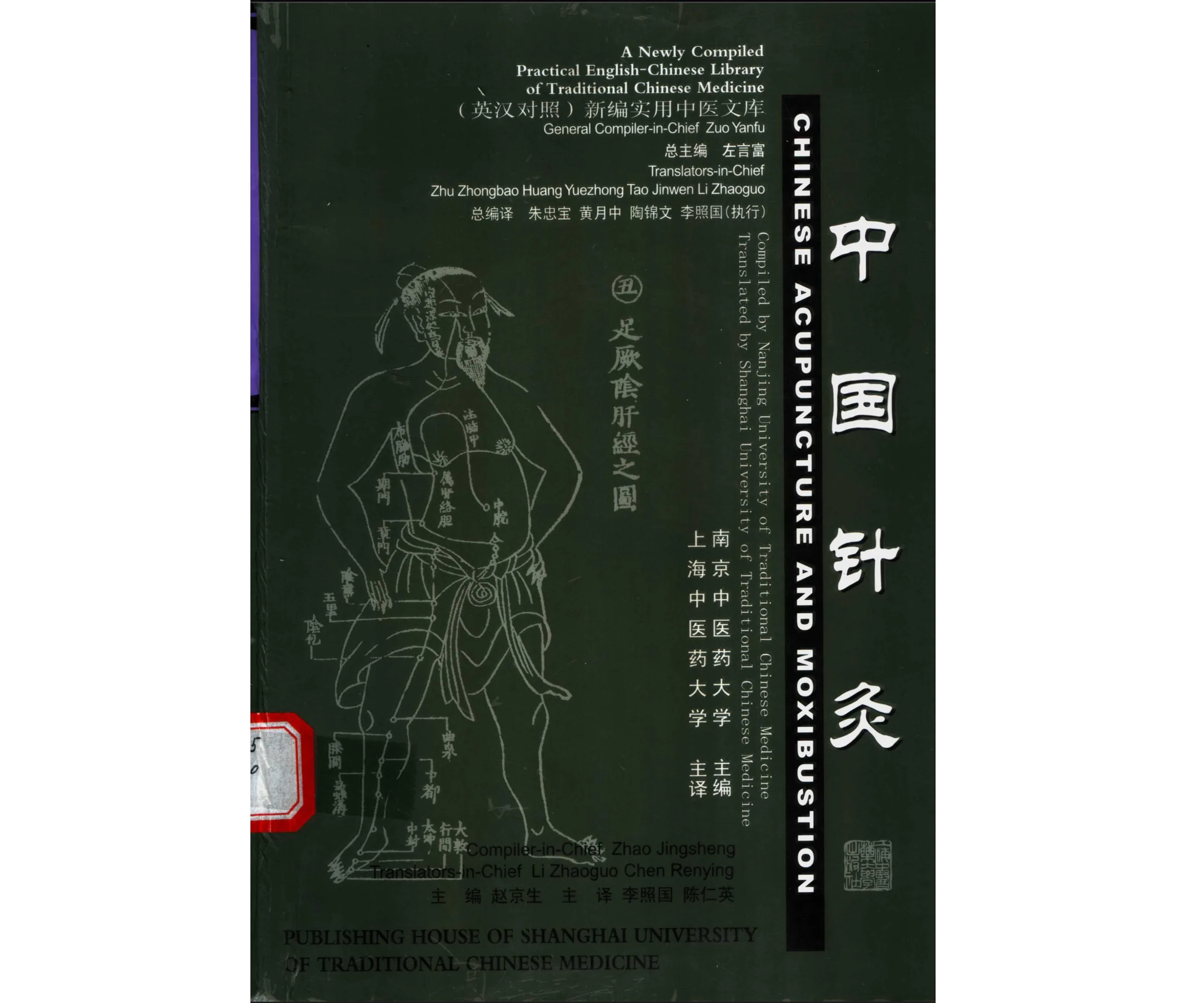 针灸.jpg