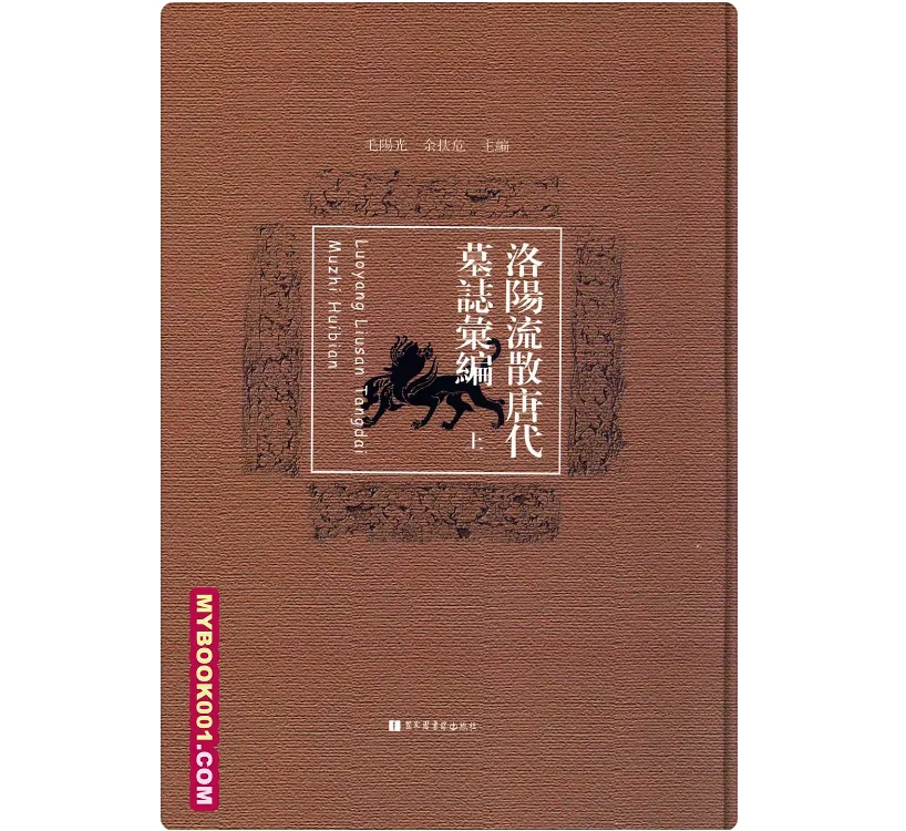 《洛阳流散唐代墓誌汇编》全2册 PDF高清国图封面