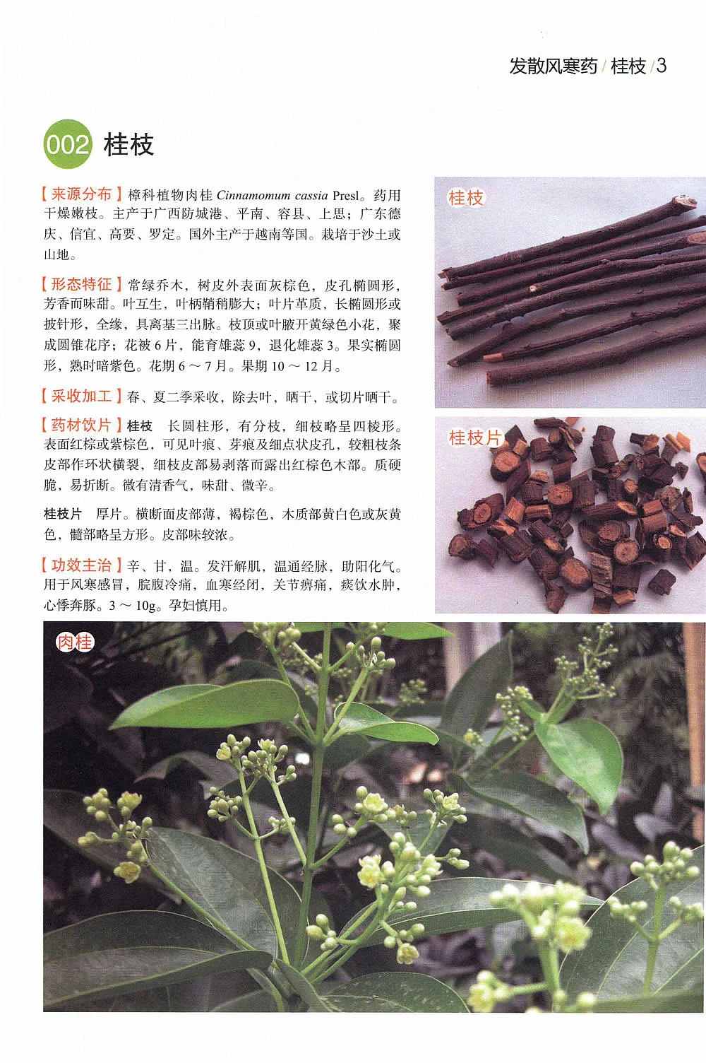 中草药经典图谱2.jpg