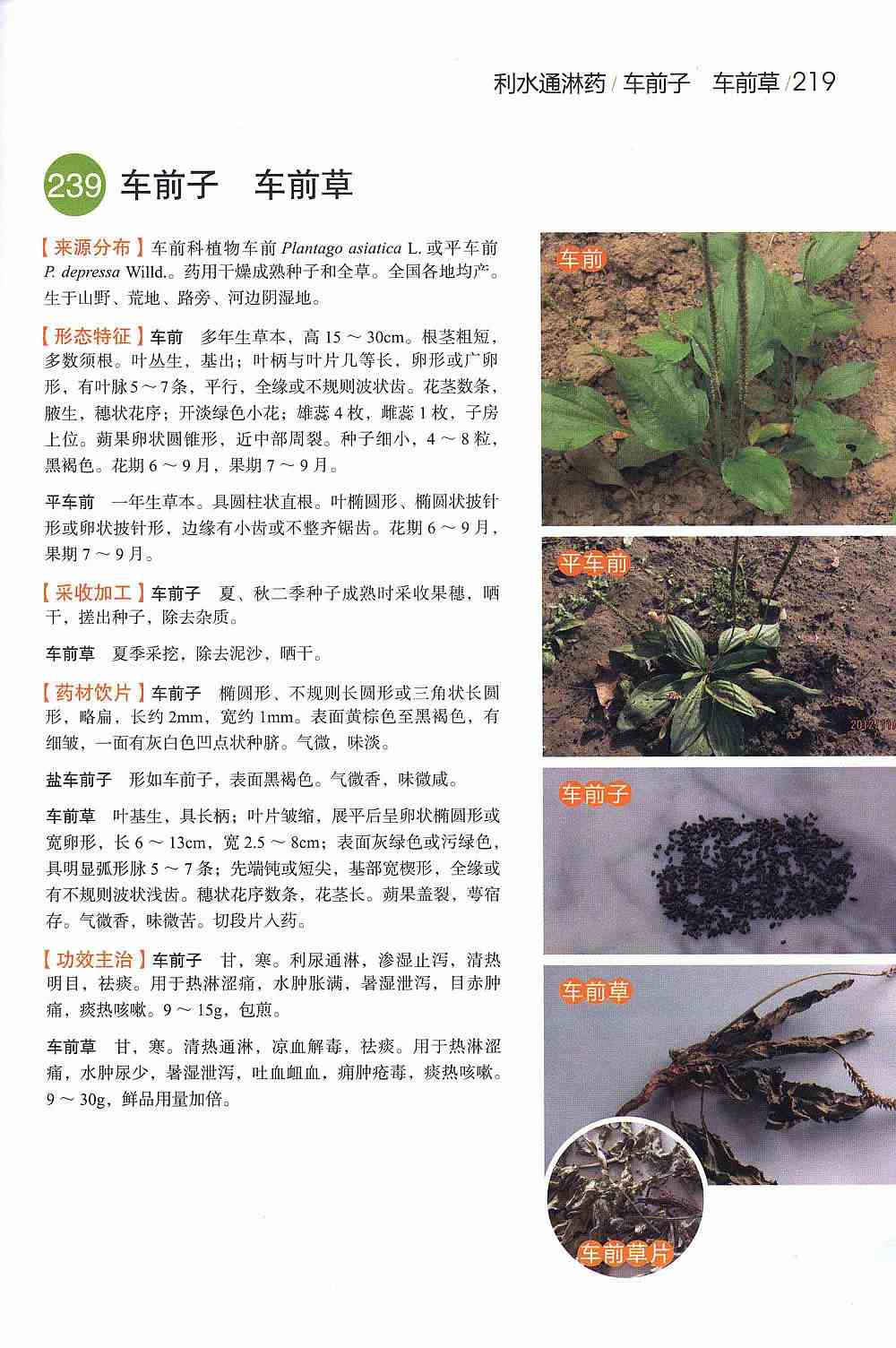 中草药经典图谱3.jpg