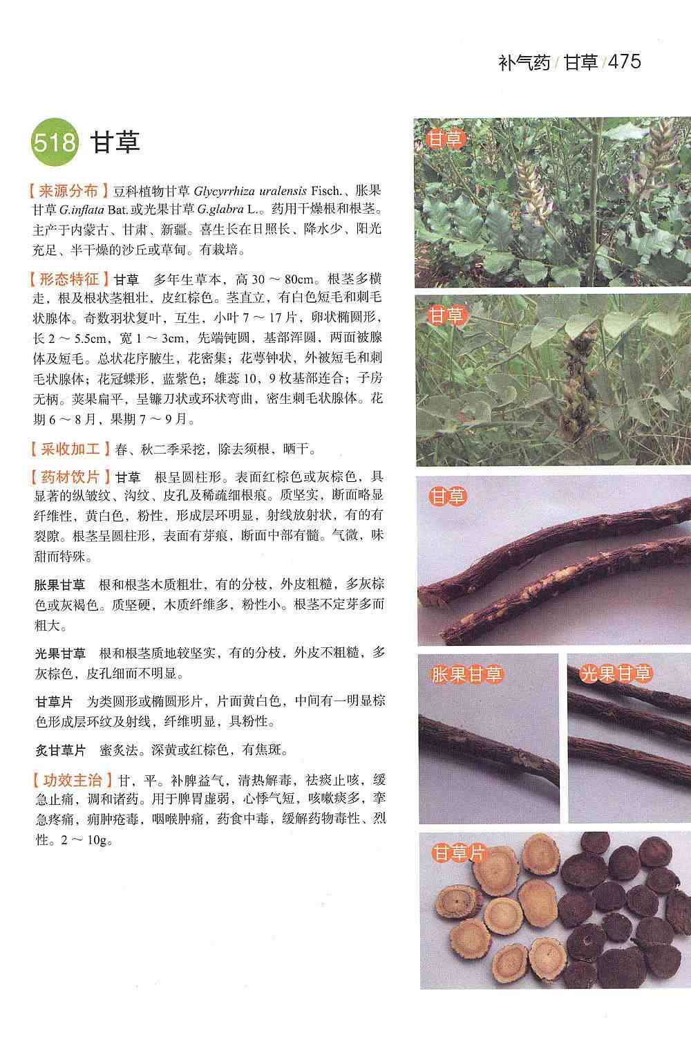 中草药经典图谱4.jpg