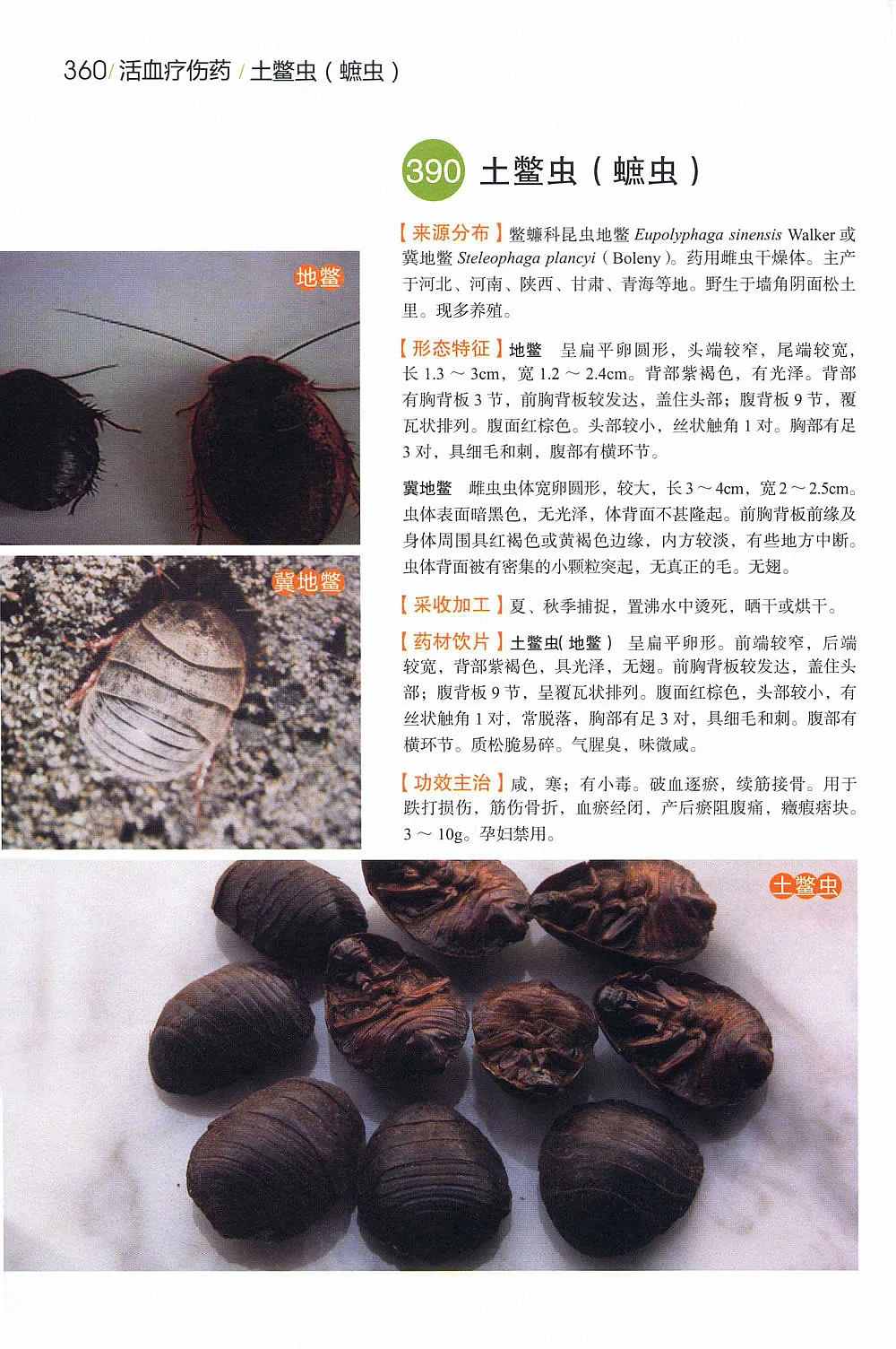 中草药经典图谱5.jpg