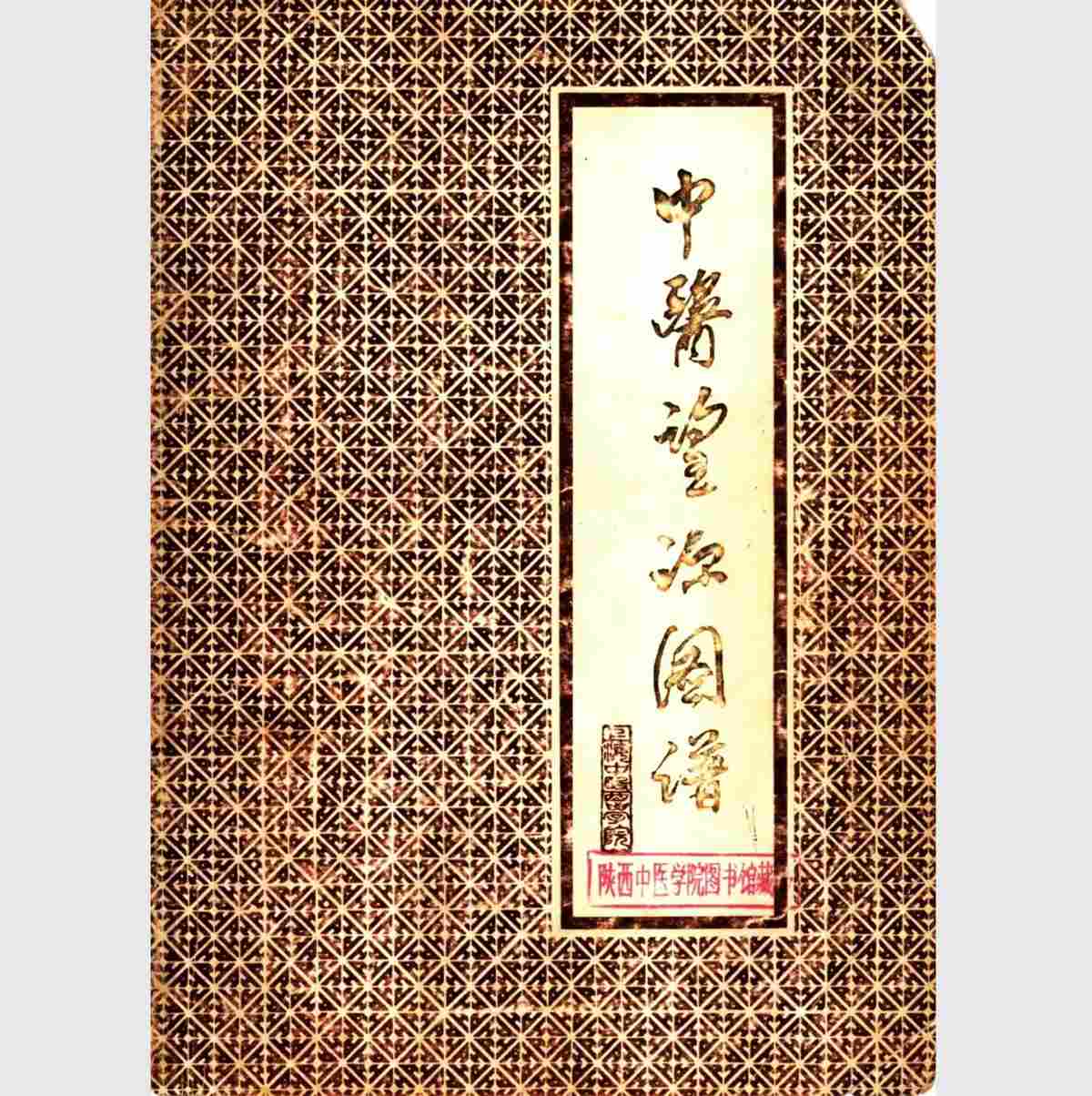 中医望诊图谱.jpg