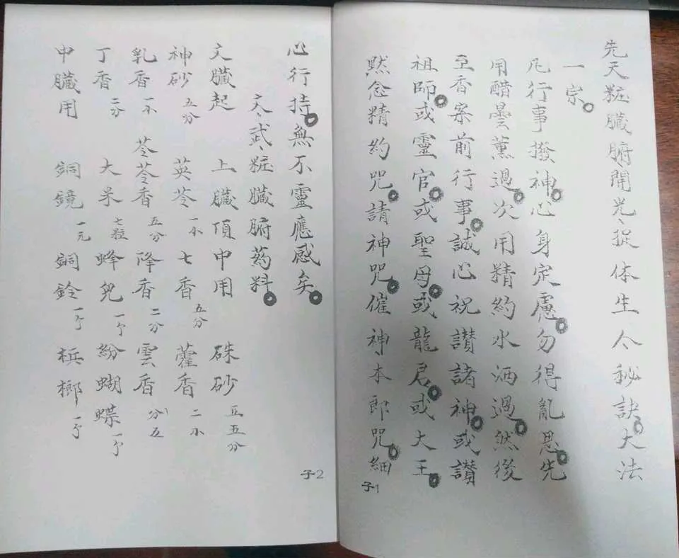先天脏腑开光捉体生人大法珍贵手抄本43P封面