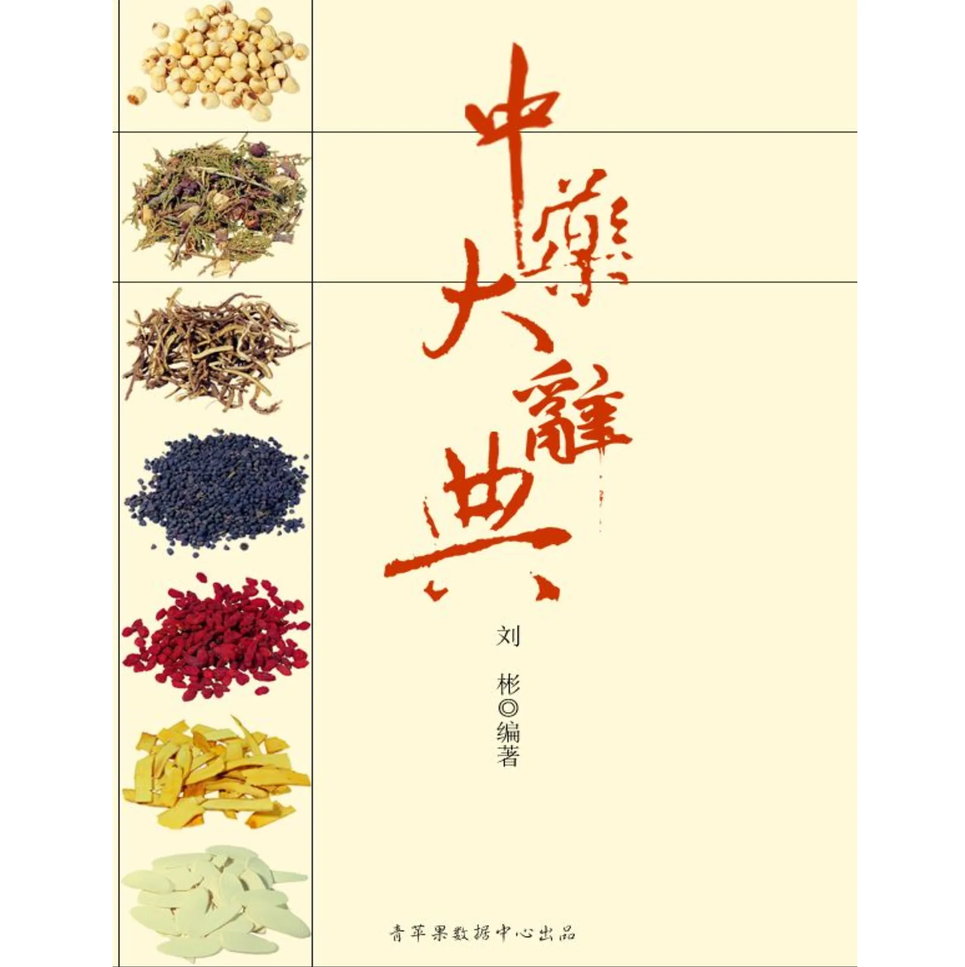 中药大辞典2008.jpg
